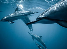 必赢官网——引领线上娱乐新体验