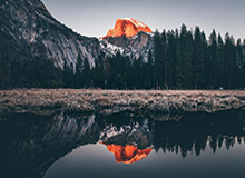 九游APP下载｜发现游戏与福利的最佳入口